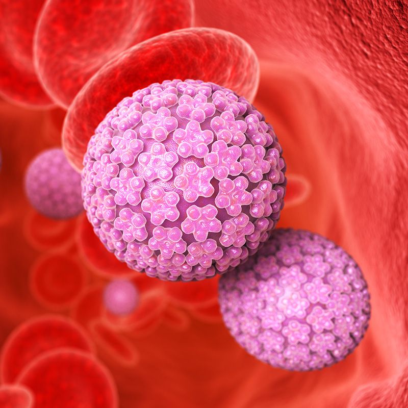 Vacina - HPV Bivalente Tipos 16 e 18