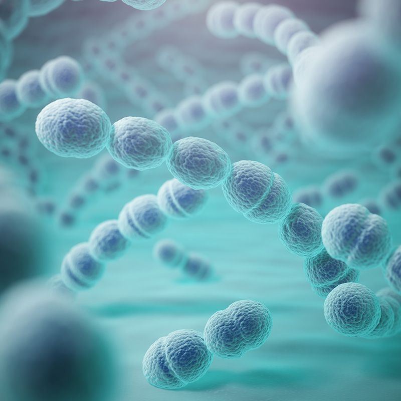 Vacina - Pneumocócica Polissacarídica VPP223 - Pneumo 23