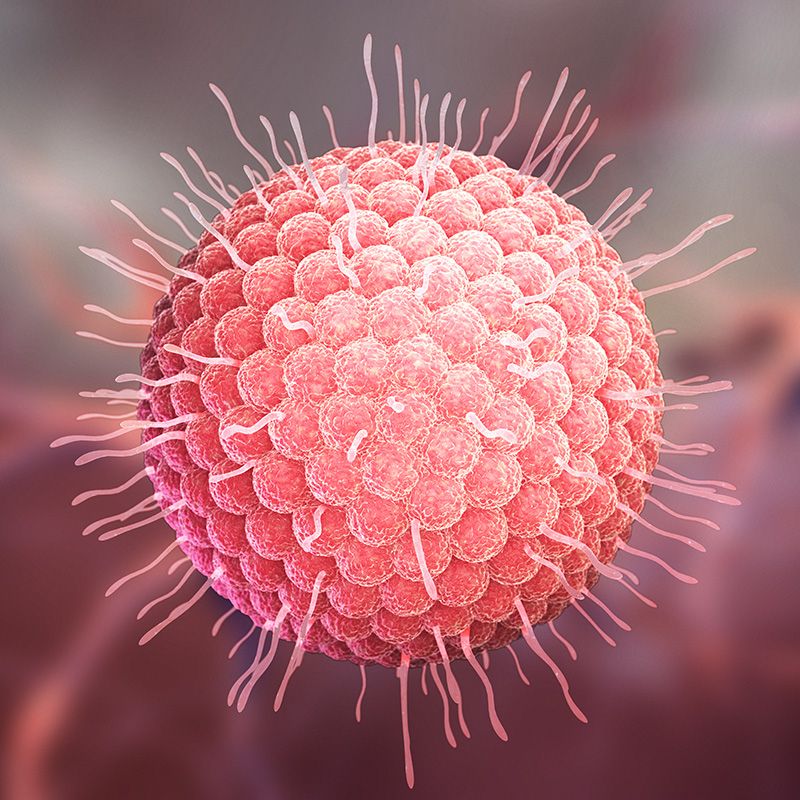 Vacina - Herpes Zoster